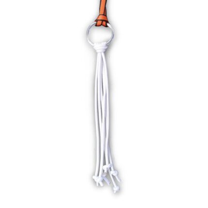 באנג'י נינג'ה