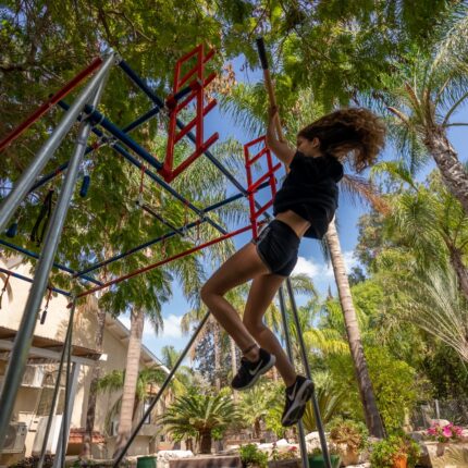 Salmon ladder - for Ninja cube - Image 3